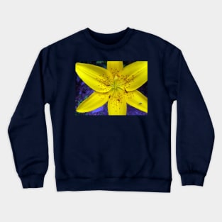 Yellow Flower Tiger Lily on Blue Background Day Lily Flowers Crewneck Sweatshirt